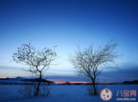 大雪节气至朋友圈创意说说 大雪节气到了的朋友圈心语大全